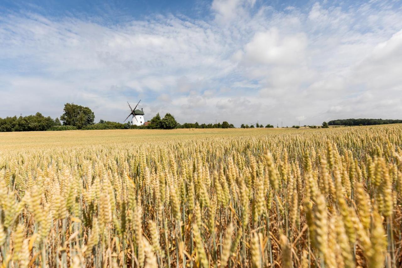 Windmill Vacation Home In Ledzin Near Baltic Sea Niechorze Bagian luar foto