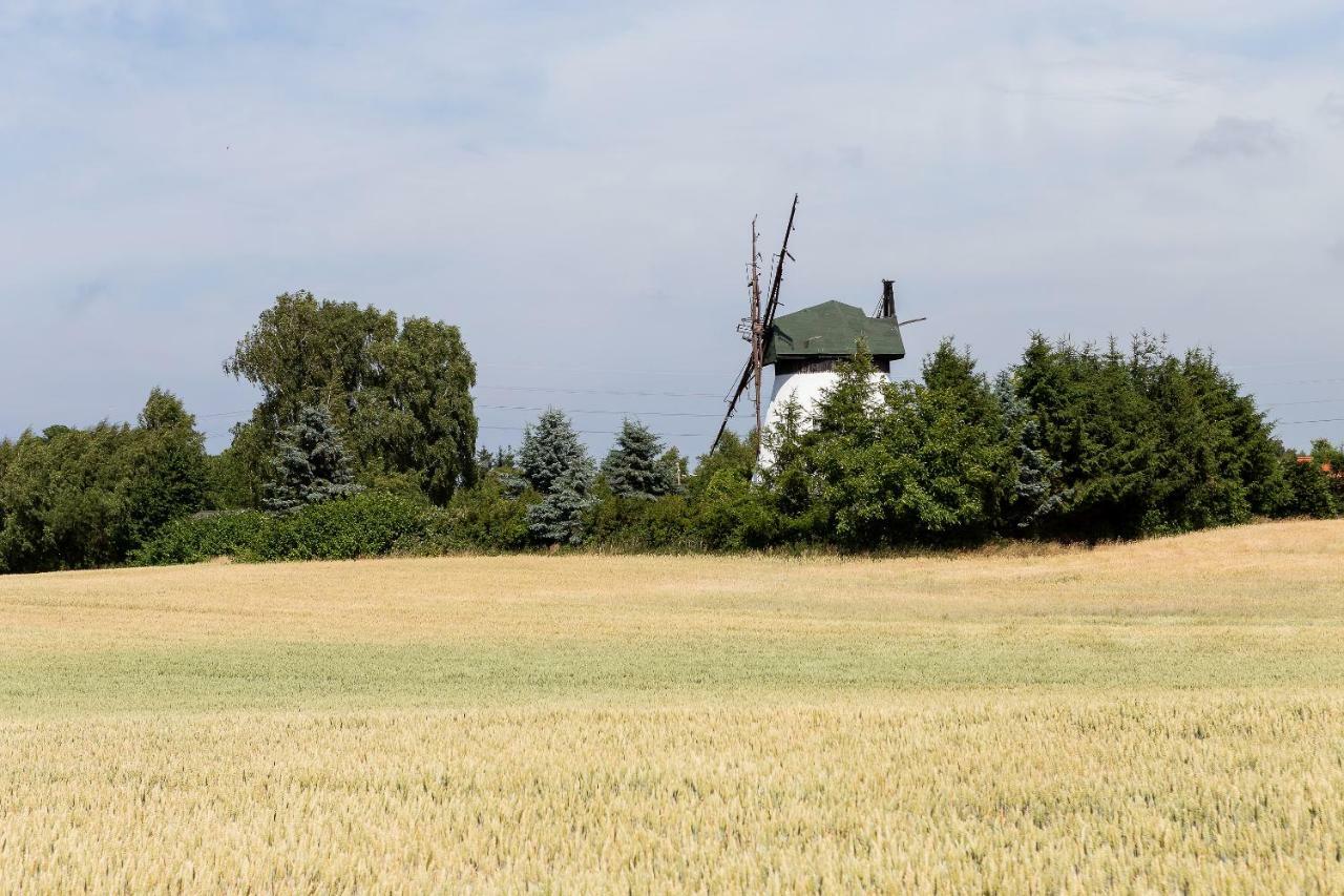 Windmill Vacation Home In Ledzin Near Baltic Sea Niechorze Bagian luar foto