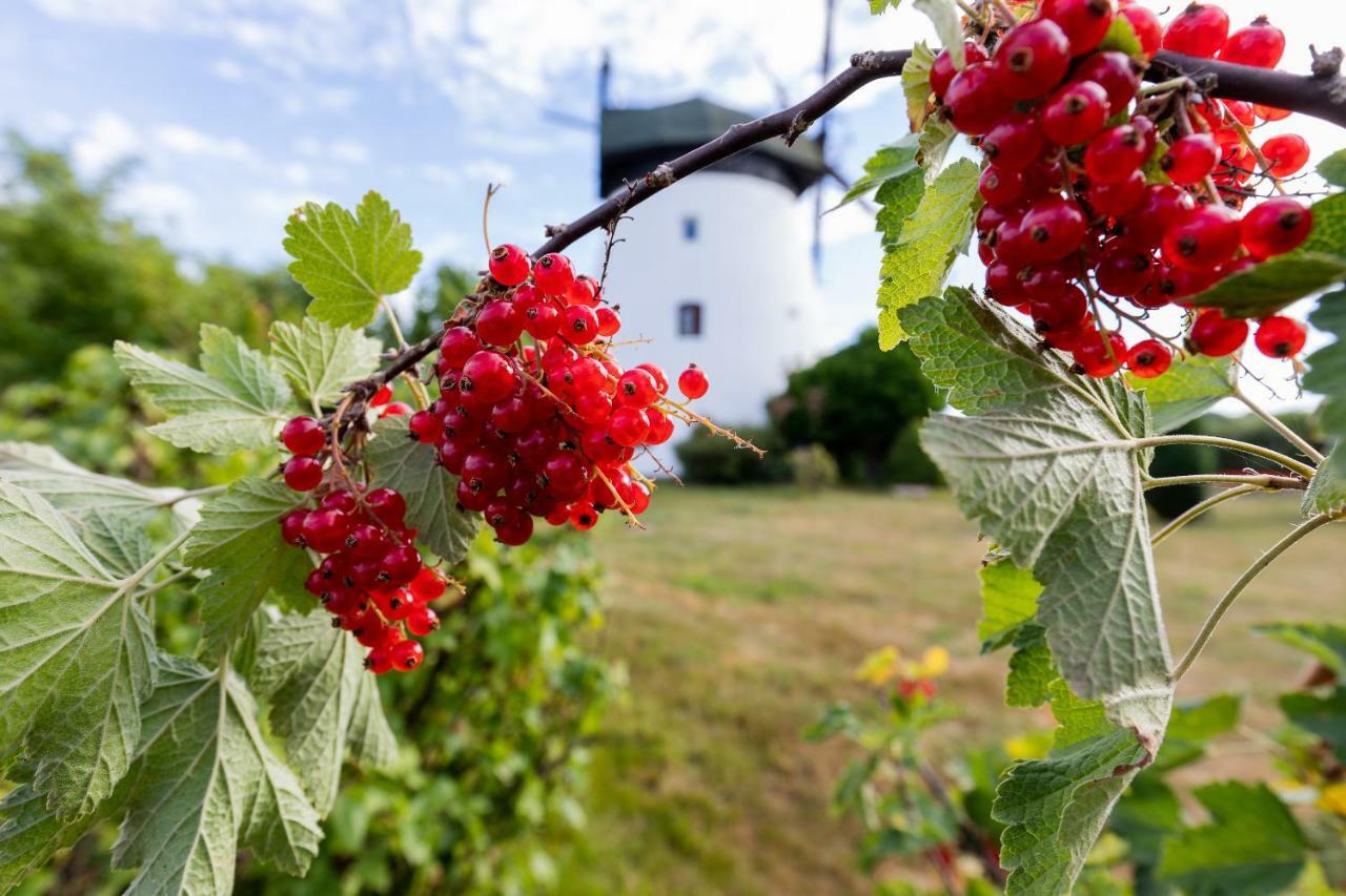Windmill Vacation Home In Ledzin Near Baltic Sea Niechorze Bagian luar foto