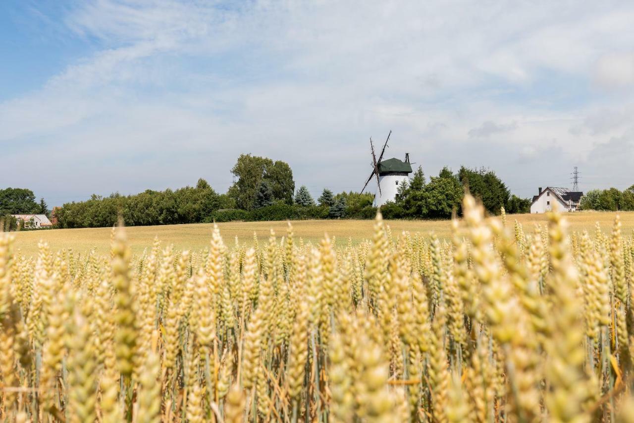 Windmill Vacation Home In Ledzin Near Baltic Sea Niechorze Bagian luar foto