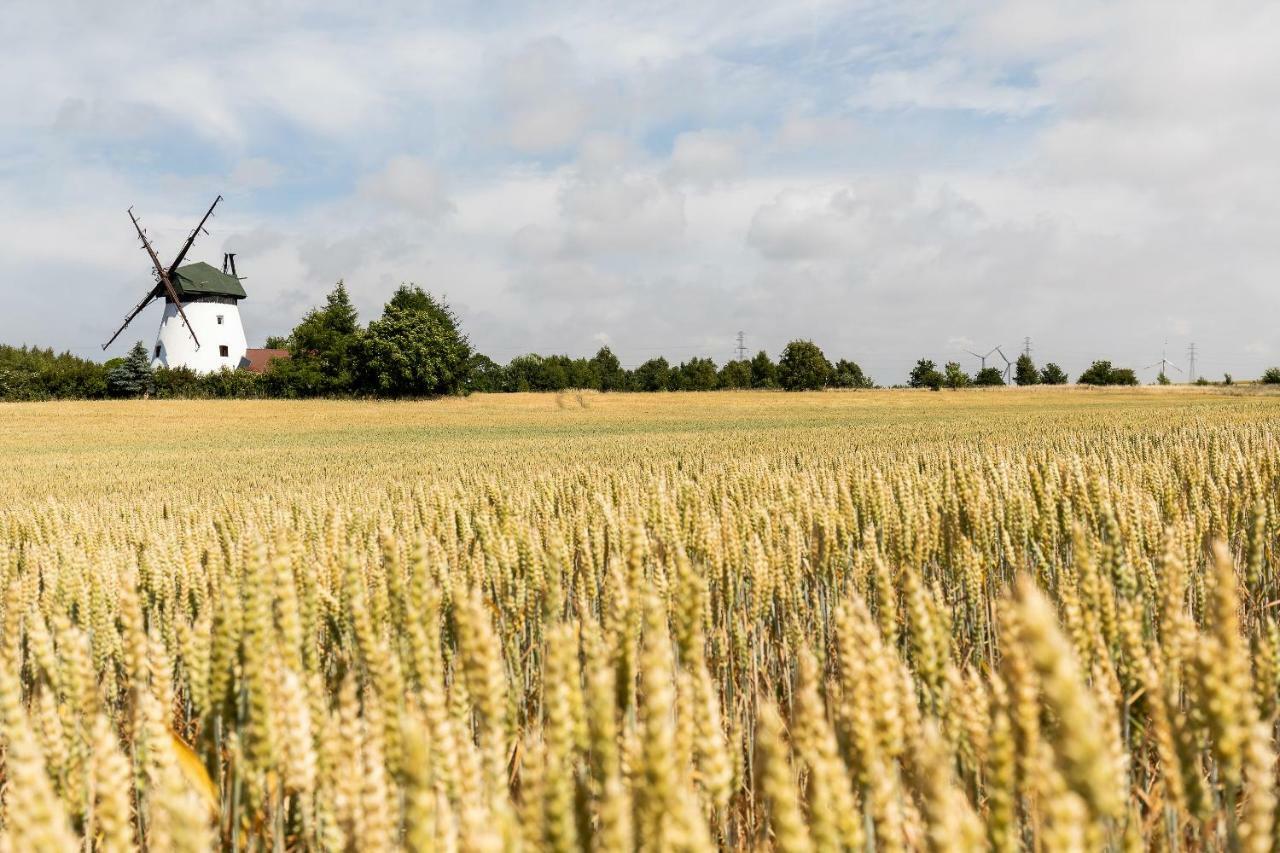 Windmill Vacation Home In Ledzin Near Baltic Sea Niechorze Bagian luar foto